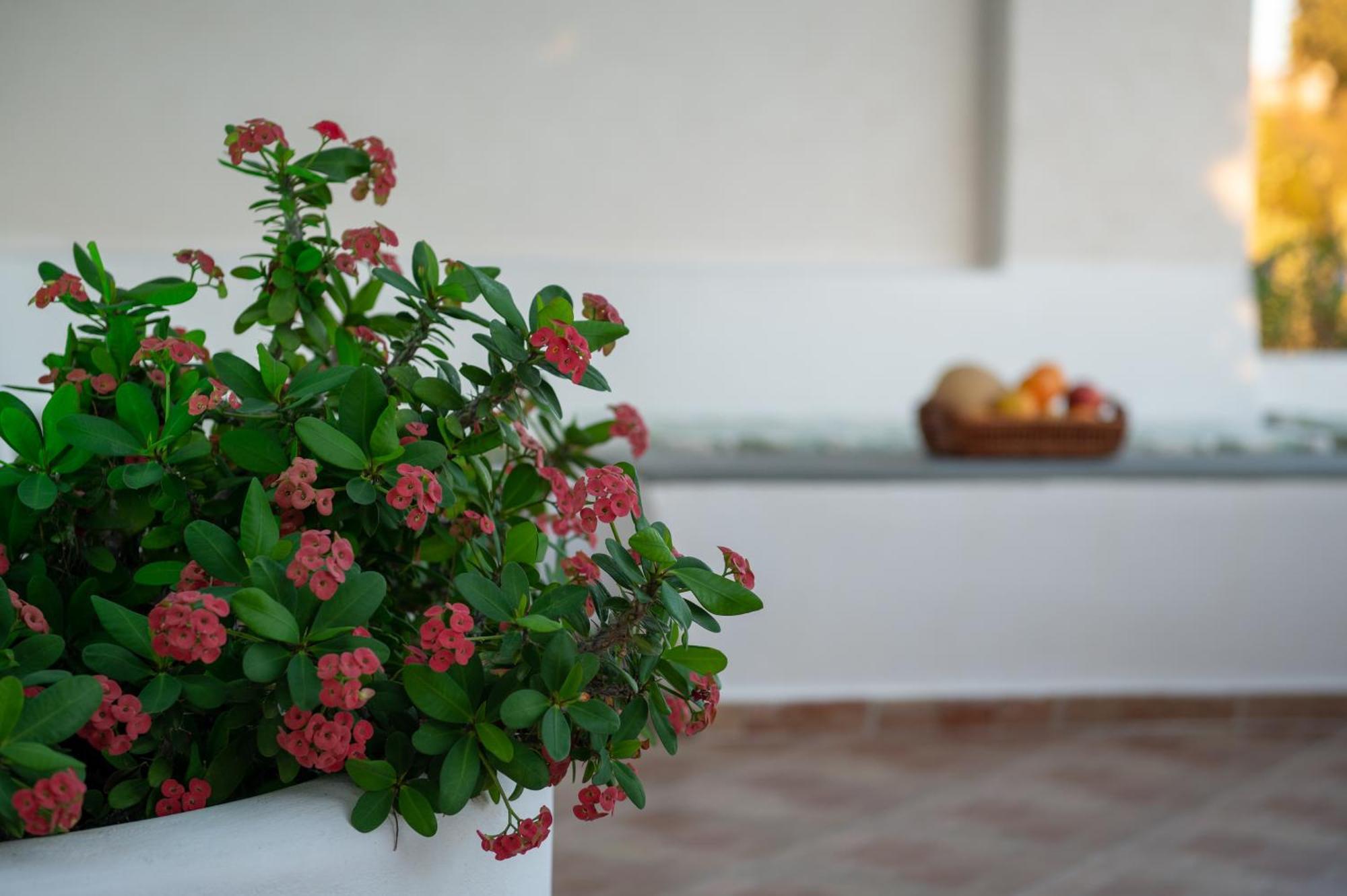 L'Eros Villa Grandma'S House Lakkíon エクステリア 写真